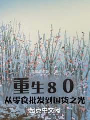 重生80：从零食批发到国货之光